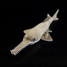 Largetooth Sawfish Plush by SoftDaysLab®, replicating the iconic snout and angular fins of the sawfish