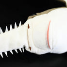 Mouth detail of the Largetooth Sawfish Plush by SoftDaysLab®, highlighting its unique sewing precision