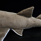 Fin and body texture of the Largetooth Sawfish Plush by SoftDaysLab®, a perfect marine gift for kids