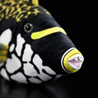 Close-up of the Clown Triggerfish plush's face by SoftDaysLab®, featuring precise and vivid detailing