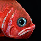 Close-up of Japanese soldierfish (Ebisudai) plush by SoftDaysLab, highlighting its detailed face, large eyes, and spiny scales