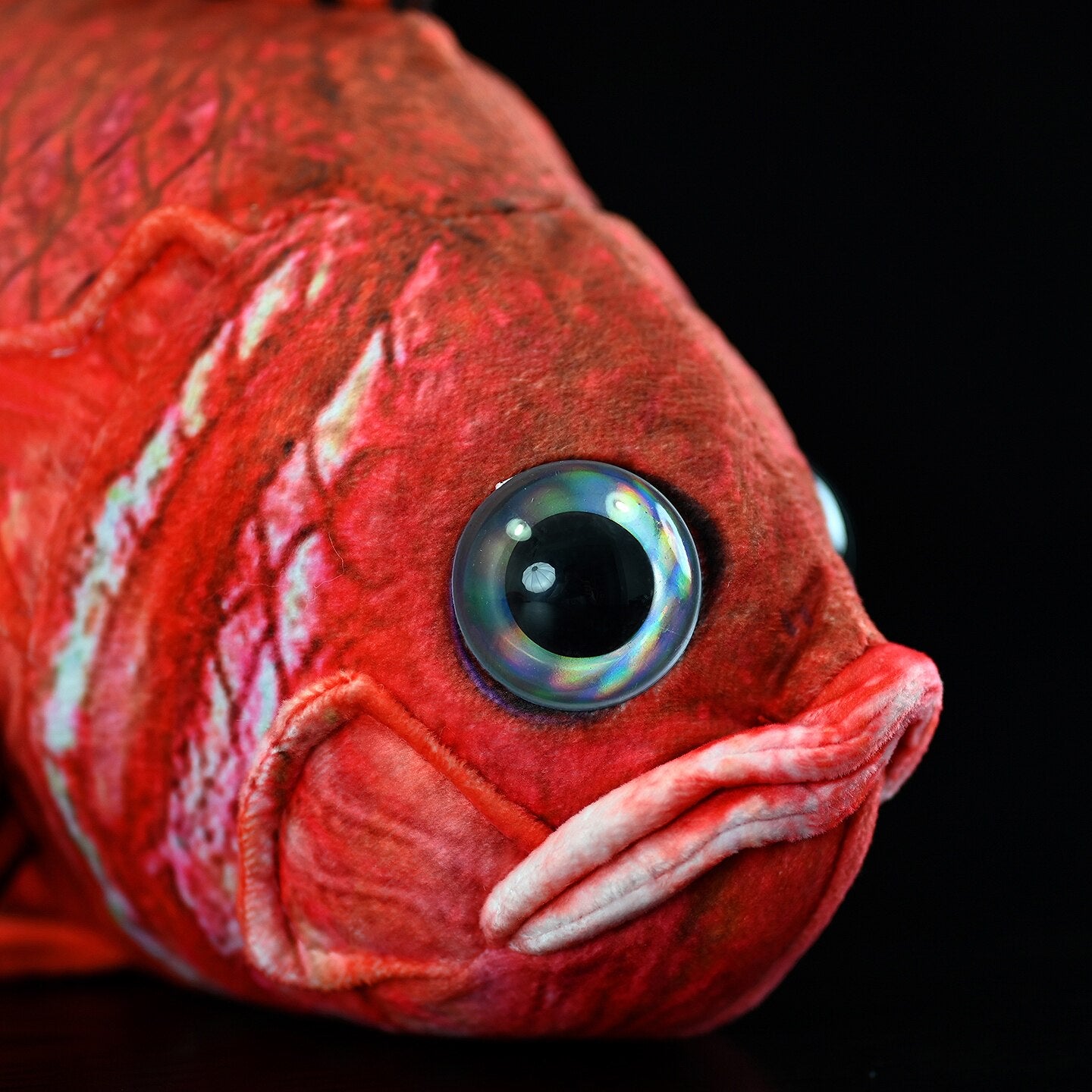 Close-up of Japanese soldierfish (Ebisudai) plush by SoftDaysLab, highlighting its detailed face, large eyes, and spiny scales