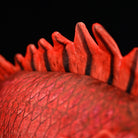 Dorsal fin close-up of SoftDaysLab's realistic Japanese soldierfish (Ebisudai) plush, emphasizing its sushi-inspired marine aesthetic