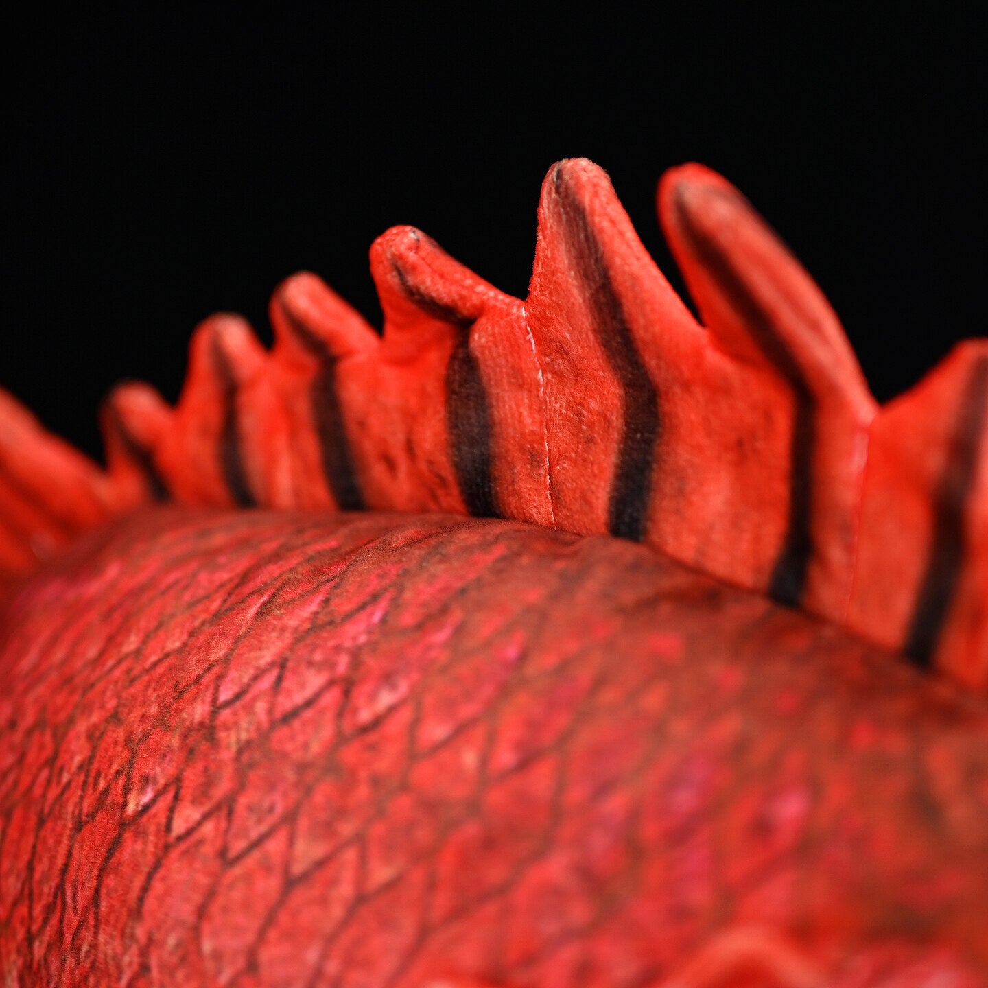 Dorsal fin close-up of SoftDaysLab's realistic Japanese soldierfish (Ebisudai) plush, emphasizing its sushi-inspired marine aesthetic