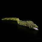 Realistic Honeycomb Moray Eel Plush by SoftDaysLab® with vibrant patterns and lifelike details, perfect for collectors