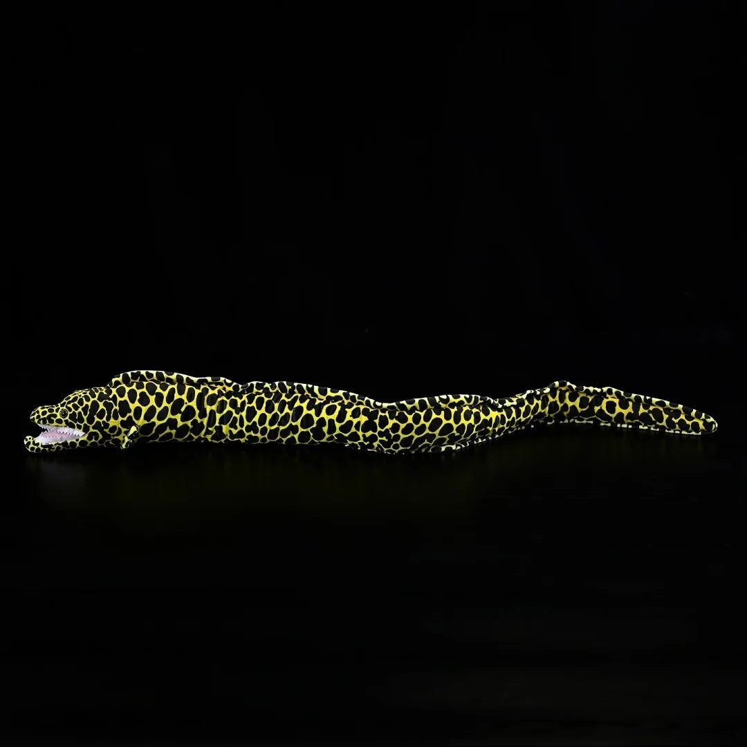 Full-length view of Honeycomb Moray Eel Plush by SoftDaysLab®, resembling natural marine animal design