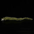 Full-length view of Honeycomb Moray Eel Plush by SoftDaysLab®, resembling natural marine animal design