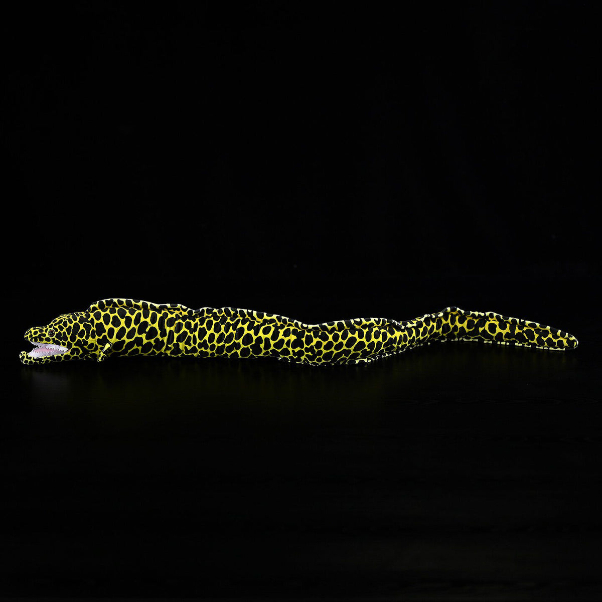 Full-length view of Honeycomb Moray Eel Plush by SoftDaysLab®, resembling natural marine animal design