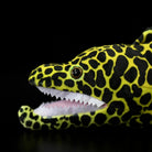 Close-up of Honeycomb Moray Eel Plush head by SoftDaysLab®, featuring lifelike eyes and sharp teeth design