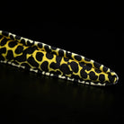 Stylish tail of Honeycomb Moray Eel Plush by SoftDaysLab®, showcasing intricate honeycomb pattern design
