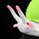 Realistic Leptopoma Nitidum Snail Plush Toy – Soft, Adorable, and Perfect for Nature Lovers