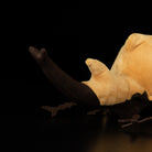 Detail of SoftDaysLab® elephant beetle plush’s realistic horn, capturing the unique beetle anatomy for insect fans
