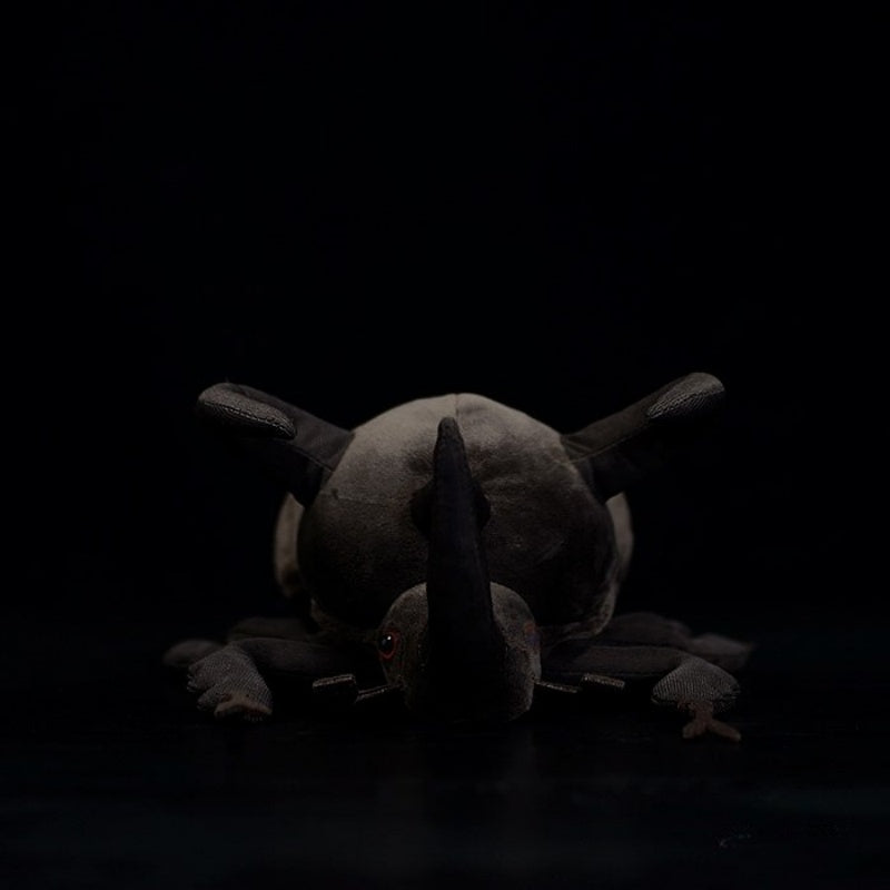 Front view of a soft Atlas beetle plush toy, showcasing its detailed horns and lifelike design