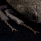 Realistic Atlas Beetle Lifelike Insert Plush Toy – Soft and Perfect for Bug Enthusiasts