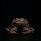 Realistic Stag Beetle Insert Plush Toy – Soft, Lifelike, and Perfect for Nature Lovers