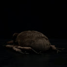 Realistic Stag Beetle Insert Plush Toy – Soft, Lifelike, and Perfect for Nature Lovers