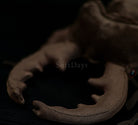 Realistic Stag Beetle Insert Plush Toy – Soft, Lifelike, and Perfect for Nature Lovers