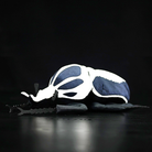 Lifelike Royal Goliath Beetle Insert Plush Toy – Soft and Striking for Bug Enthusiasts