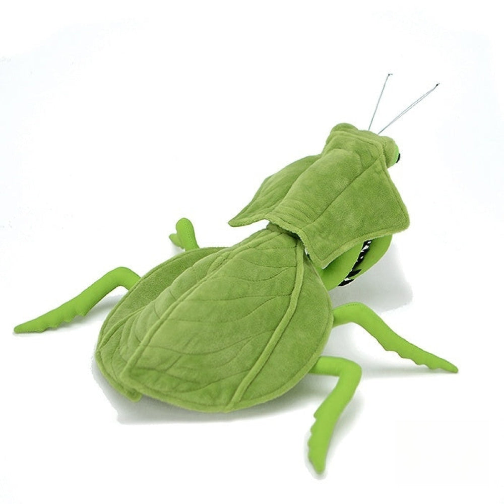 Realistic Leaf Mantis Plush Toy – Perfect for Insect Lovers and Collectors