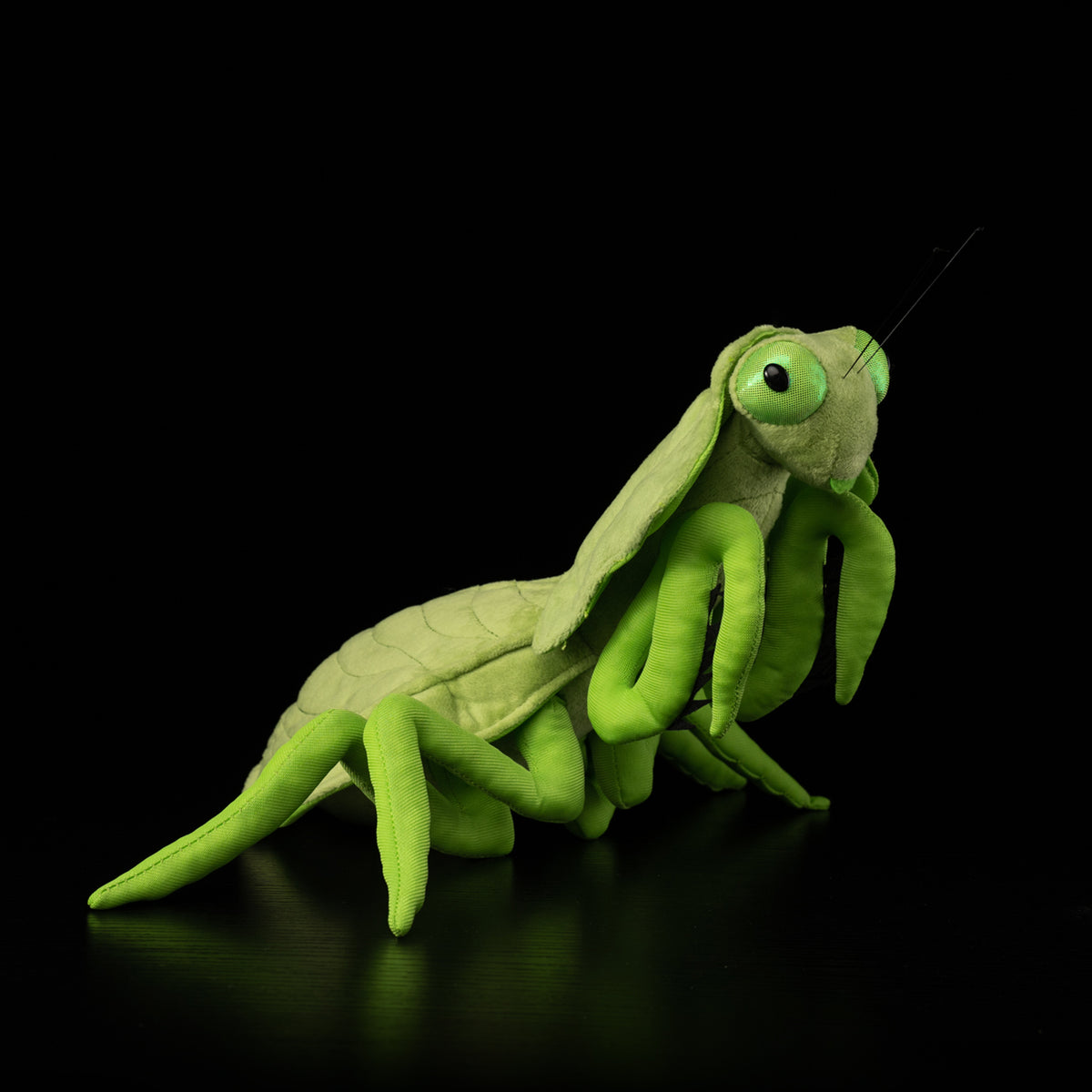 Realistic leaf mantis plush by SoftDaysLab®, showcasing its vibrant green coloration and unique details