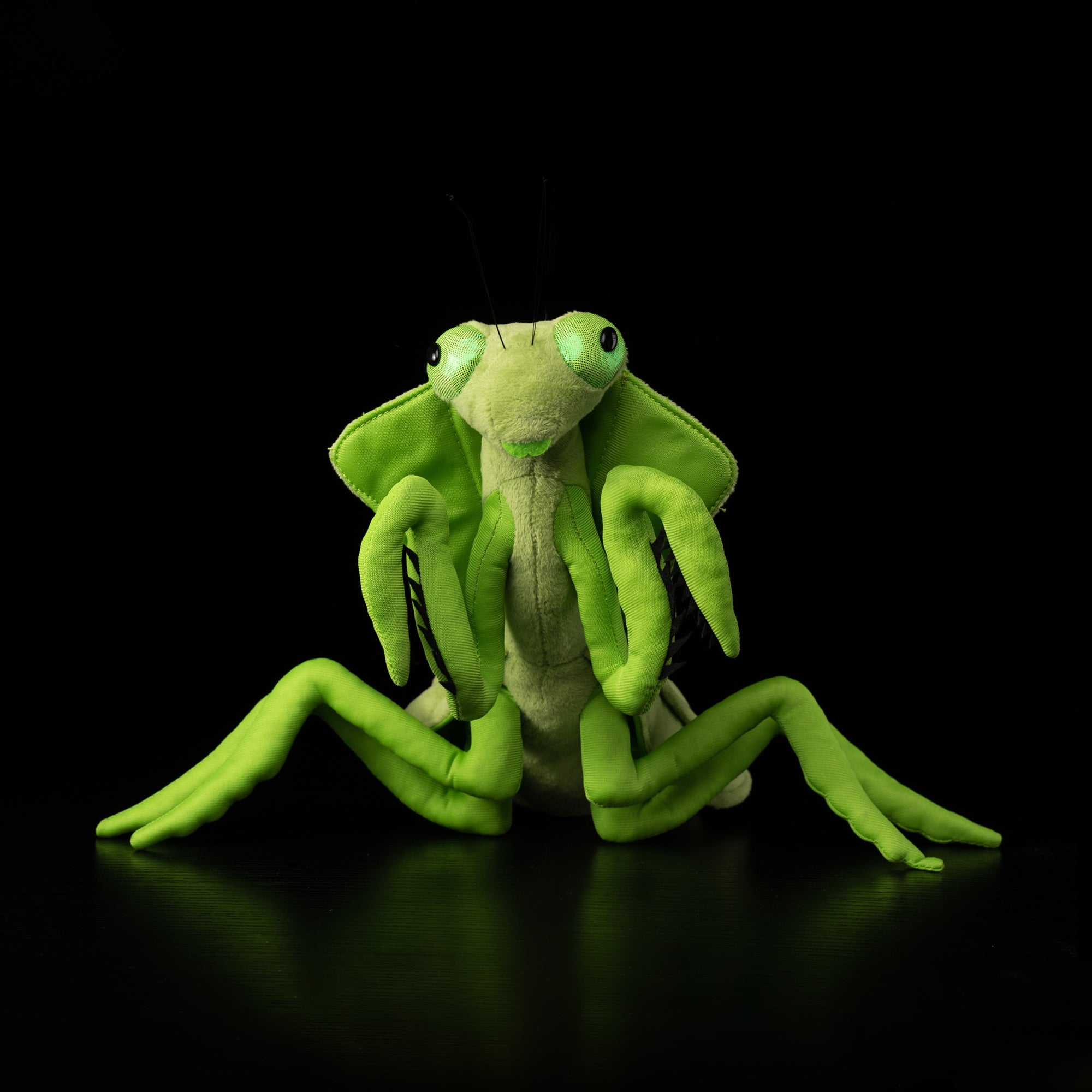Front view of a realistic praying leaf mantis plush by SoftDaysLab®, inspired by the Shield Mantis