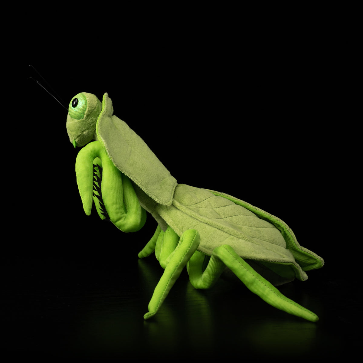 Side profile of SoftDaysLab®'s detailed Shield Leaf Mantis plush toy featuring lifelike design