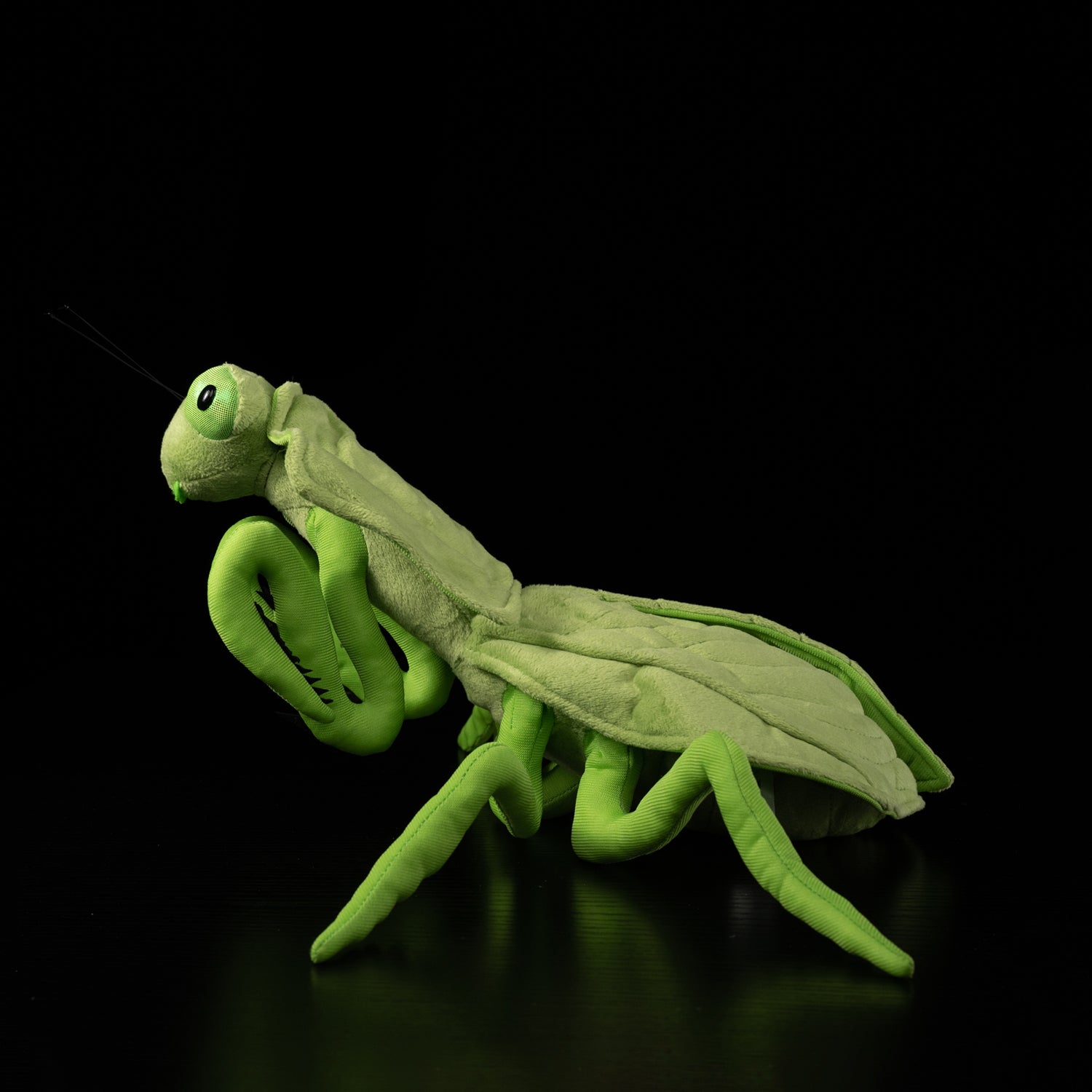 Realistic Leaf Mantis Plush Toy – Perfect for Insect Lovers and Collectors