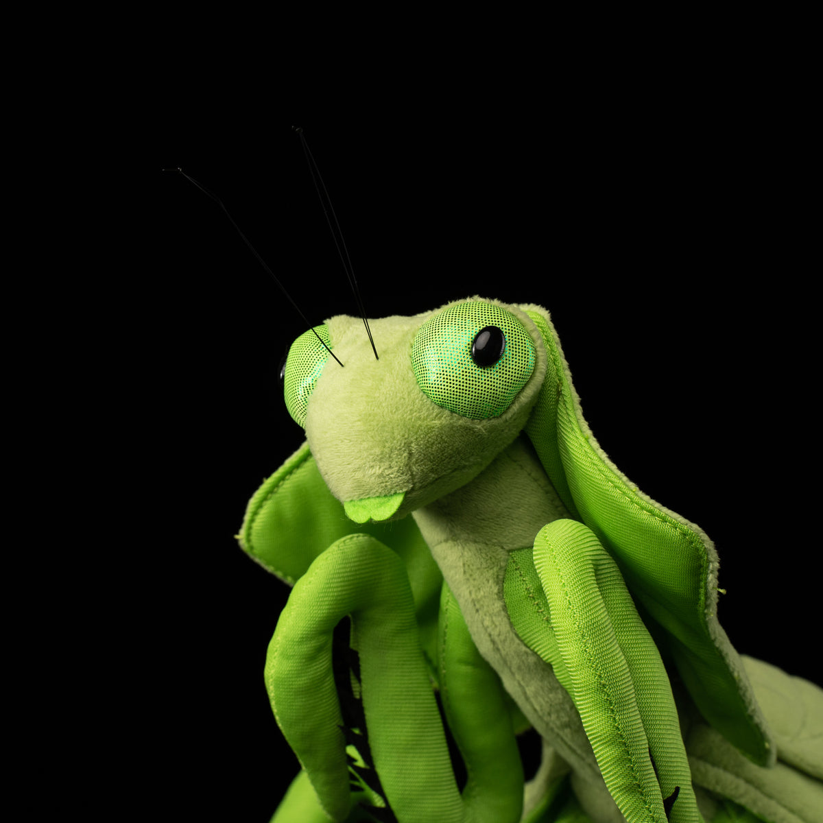Close-up of the head and intricate details of the SoftDaysLab® Shield Leaf Mantis plush toy