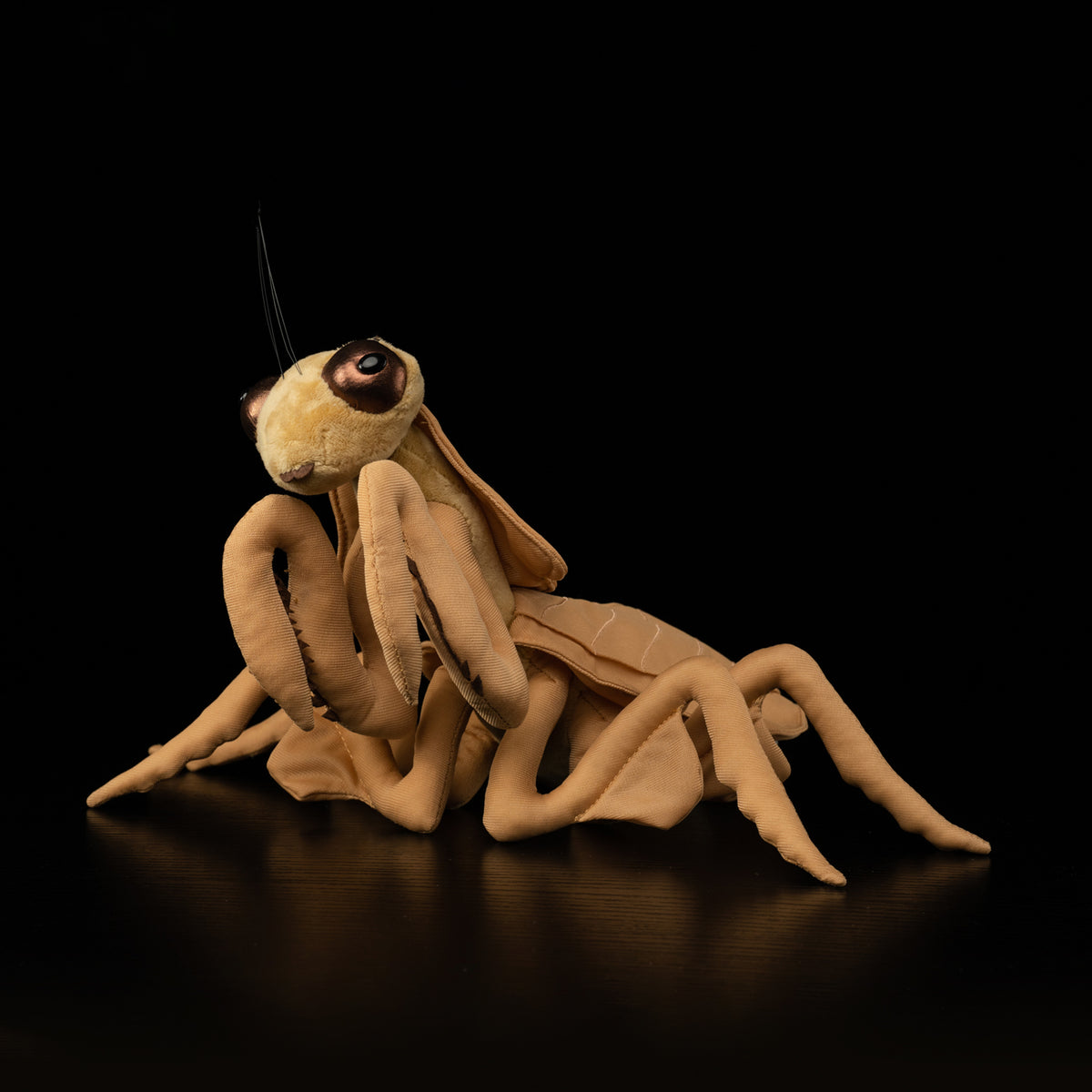 Realistic mantis plush toy by SoftDaysLab®, showcasing lifelike insect features of Dead Leaf Mantis