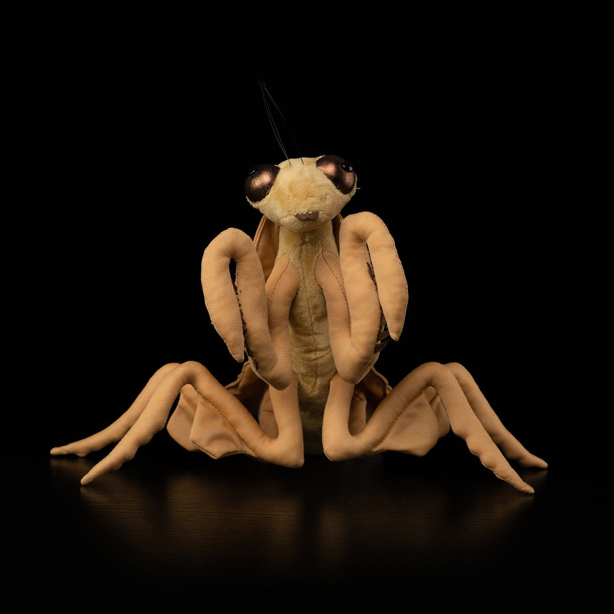 Front view of Dead Leaf Mantis plush by SoftDaysLab®, showing detailed mantis legs and texture
