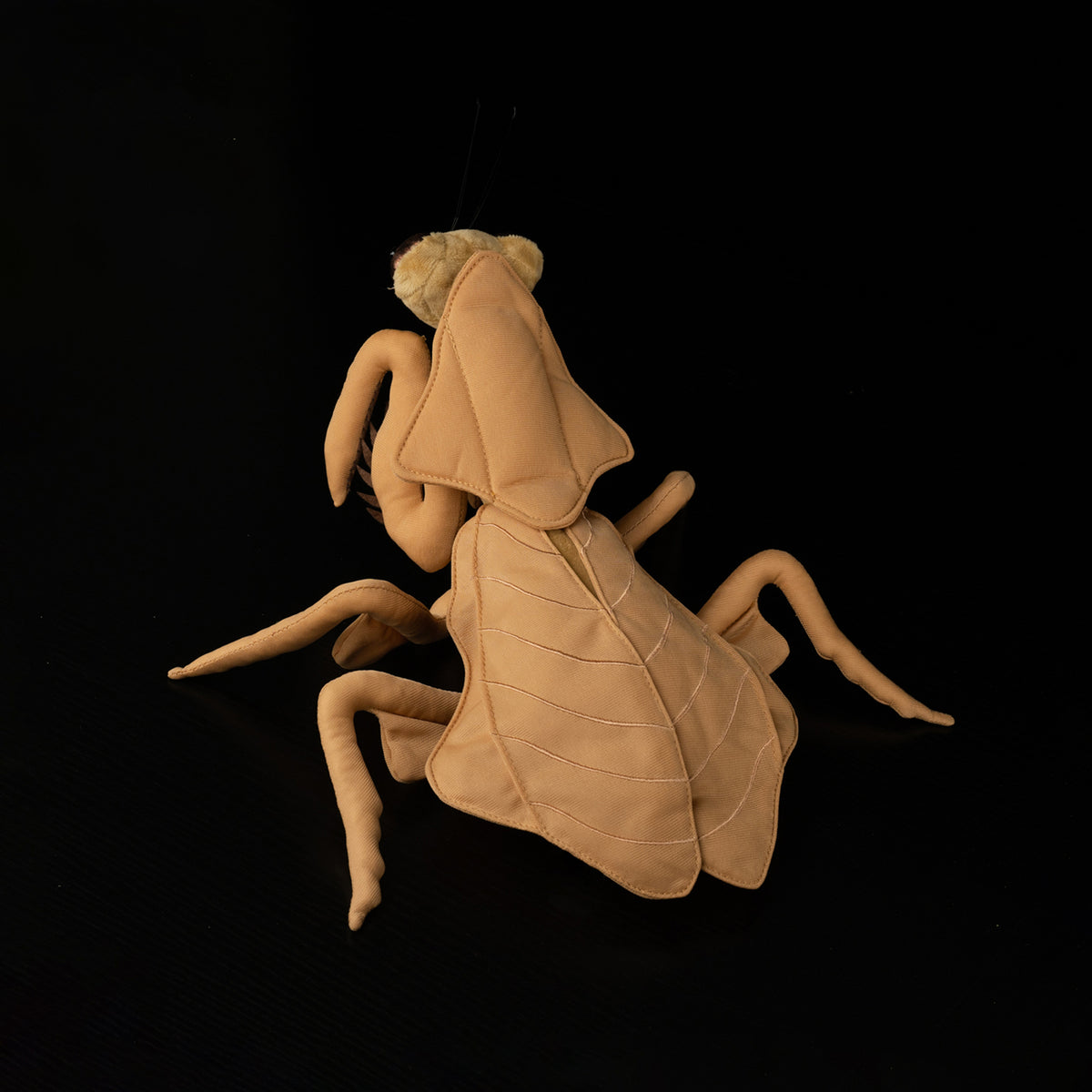 Overhead view of lifelike Dead Leaf Mantis plush by SoftDaysLab®, perfect for collectors and insect lovers