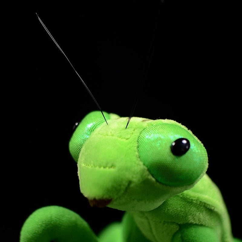 Close-up of the Chinese mantis plush toy's expressive face and antennae by SoftDaysLab