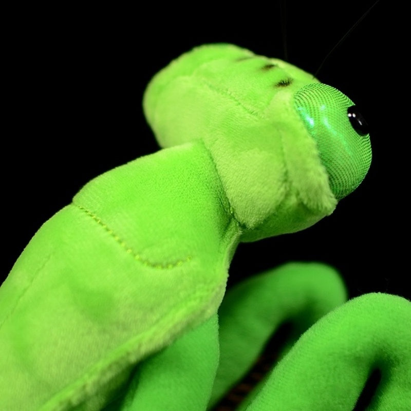 Side angle close-up of green Chinese mantis plush head and lifelike eye details