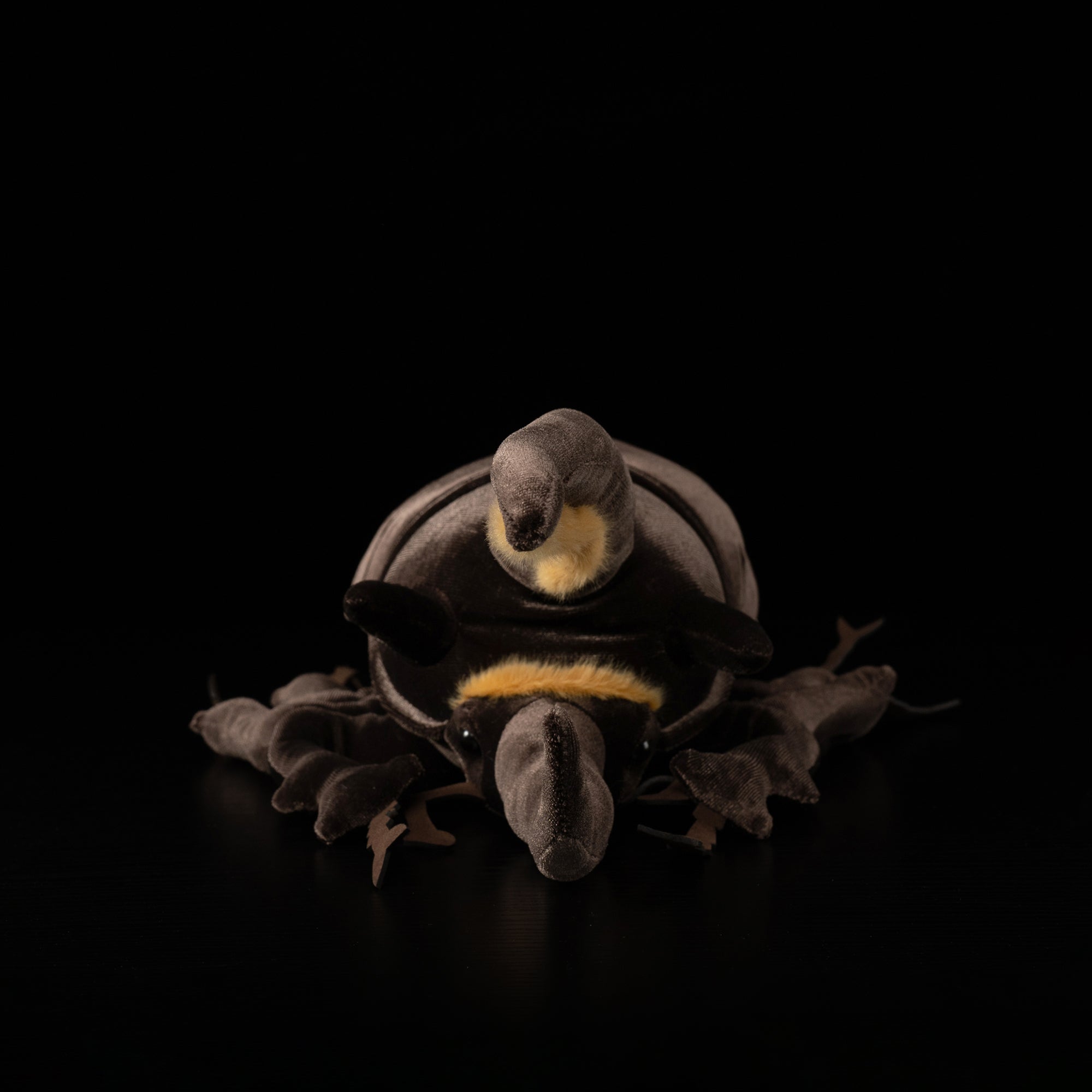 Front view of Neptune Hercules beetle plush showcasing detailed horns and lifelike features
