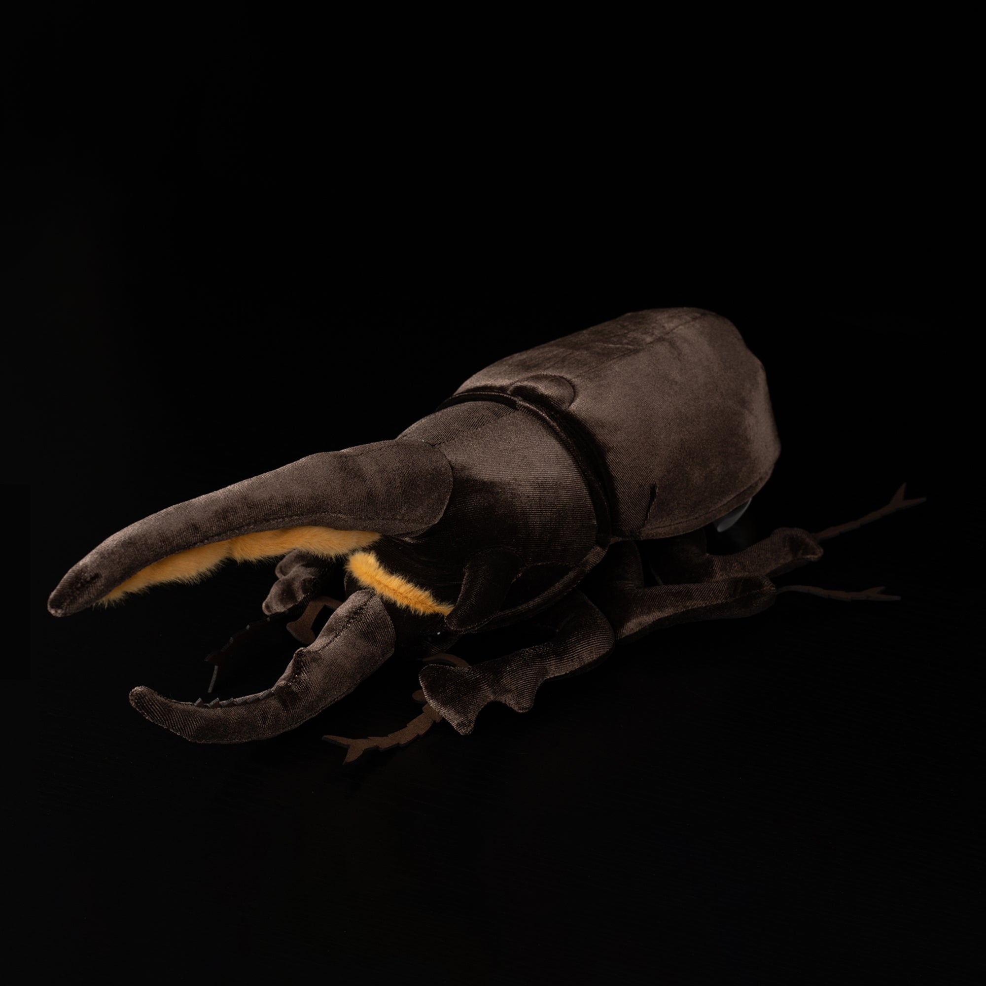 Top-down view of Neptune Hercules beetle plush showing its lifelike black body and prominent horns