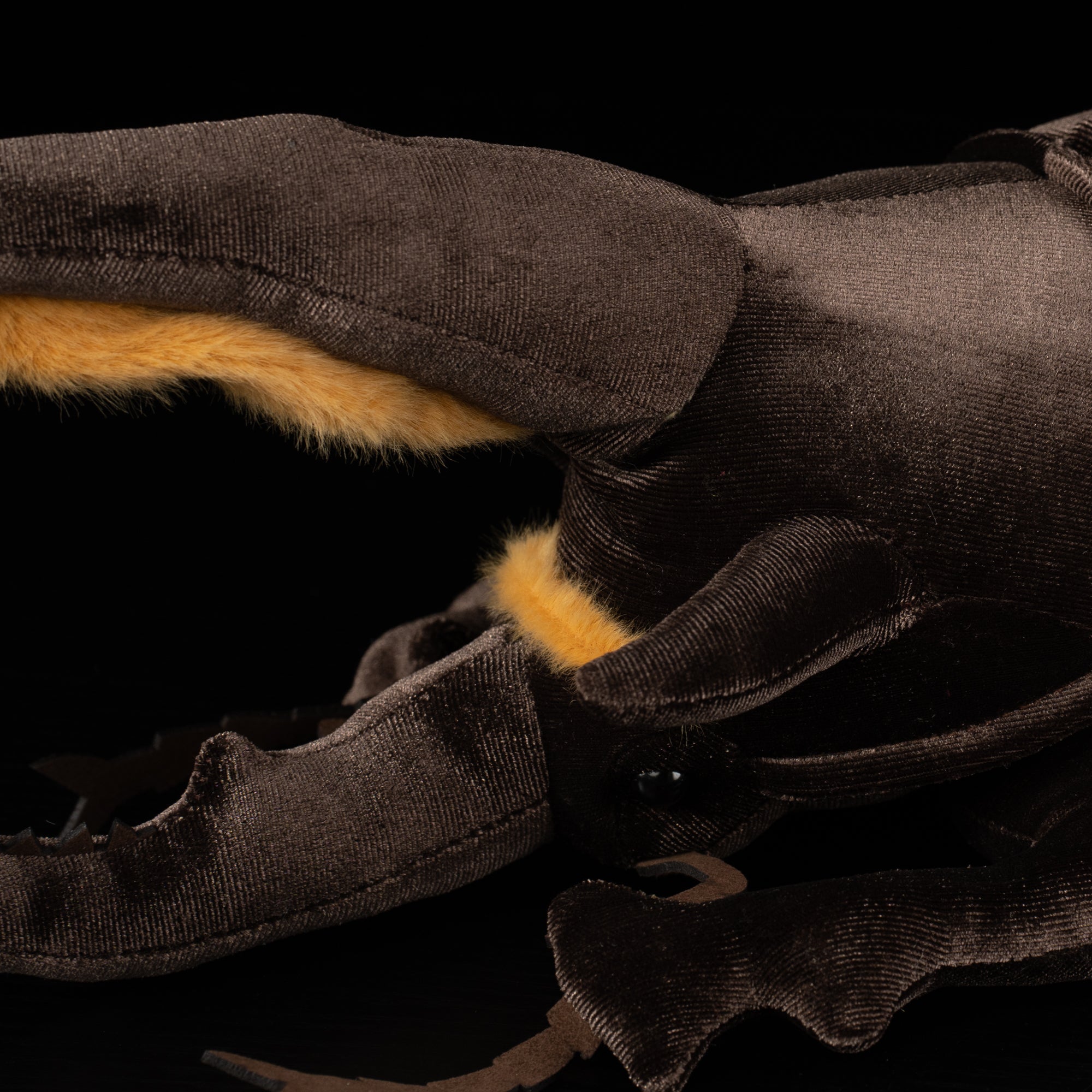 Close-up of Neptune Hercules beetle plush head showcasing realistic details, soft texture, and vibrant accents