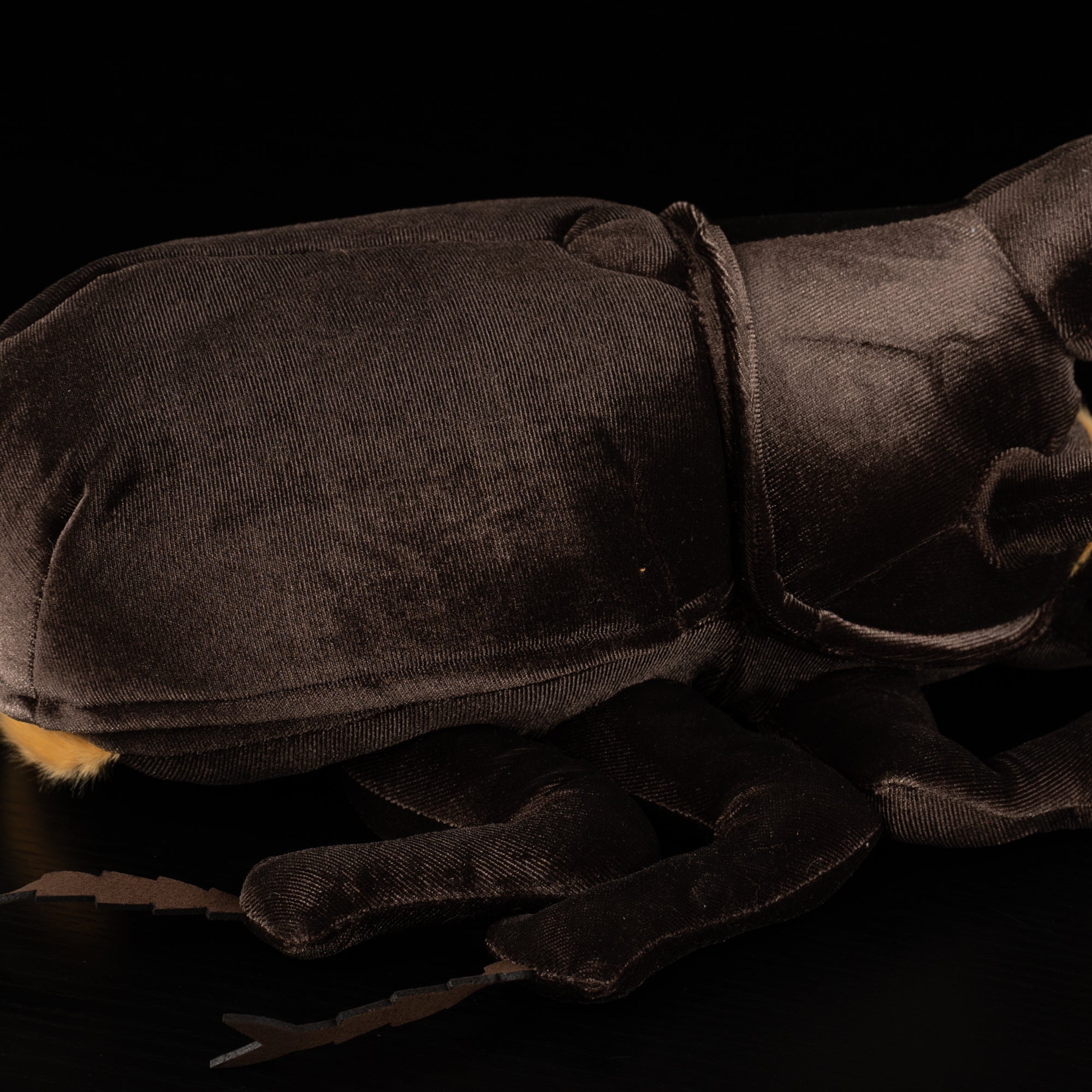 Rear detail of Neptune Hercules beetle plush showcasing its realistic legs and soft material by SoftDaysLab