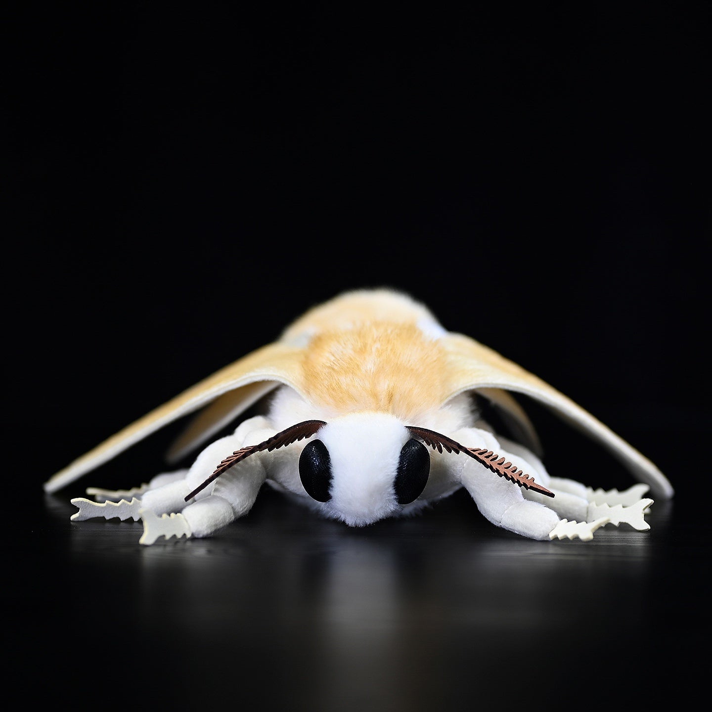 Realistic Domestic Silk Moth Plush Toy – Soft, Lifelike, and Perfect for Nature Lovers 