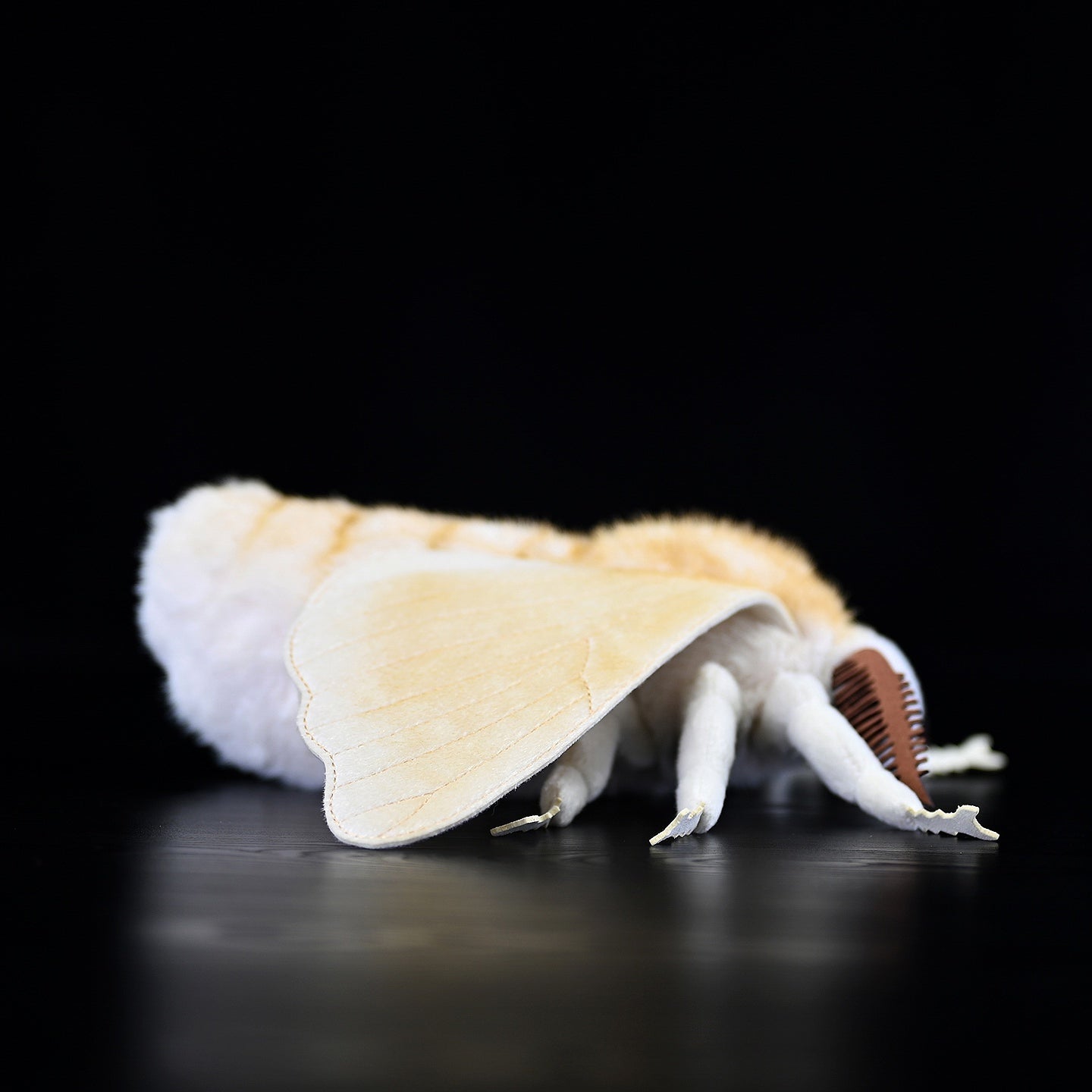 Realistic Domestic Silk Moth Plush Toy – Soft, Lifelike, and Perfect for Nature Lovers 