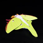 Realistic Indian Moon Moth Plush – Soft, Lifelike, and Perfect for Nature Enthusiasts
