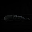 Dorcus Hopei Stag Beetle Plush – Realistic, Soft, and Perfect for Collectors