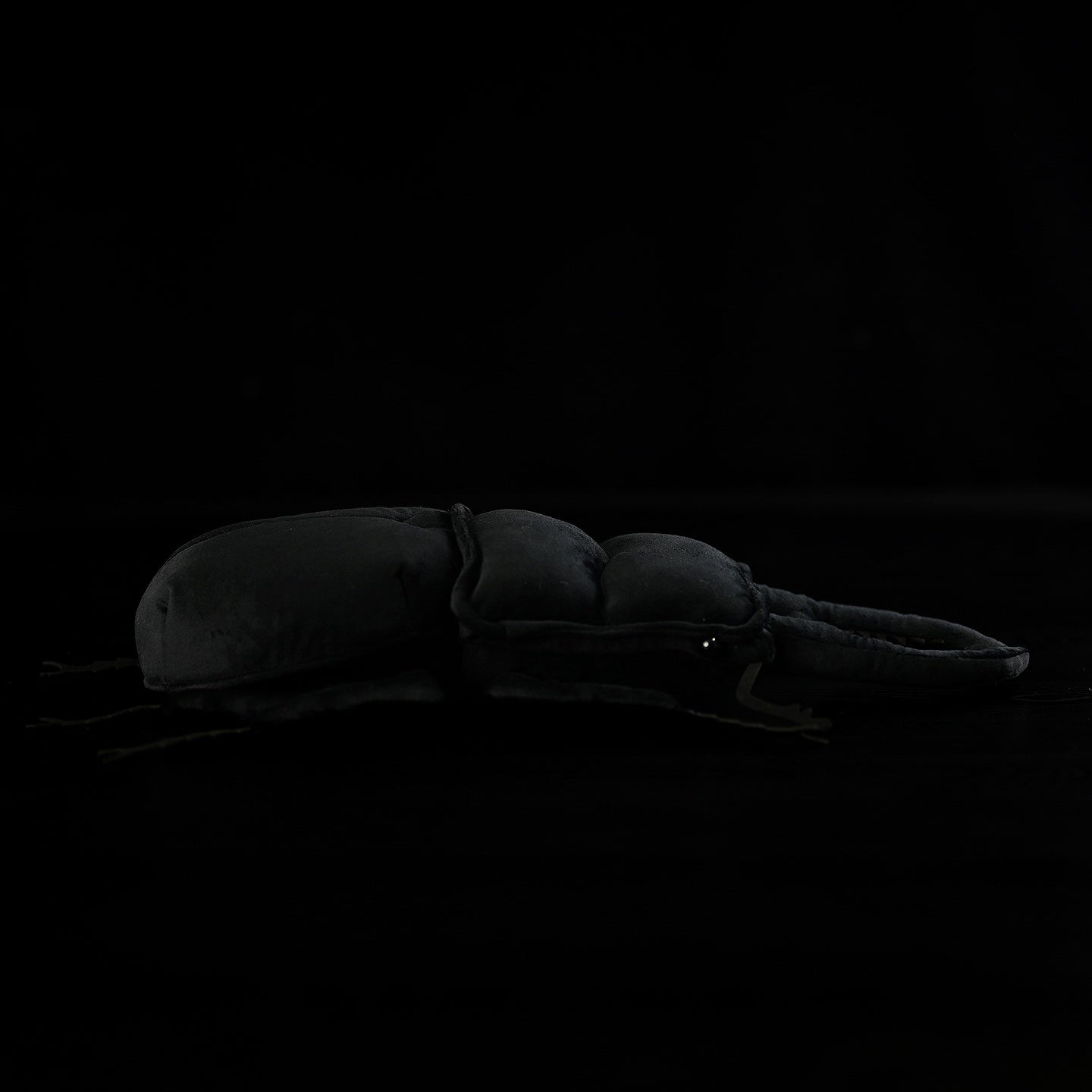 Dorcus Hopei Stag Beetle Plush – Realistic, Soft, and Perfect for Collectors