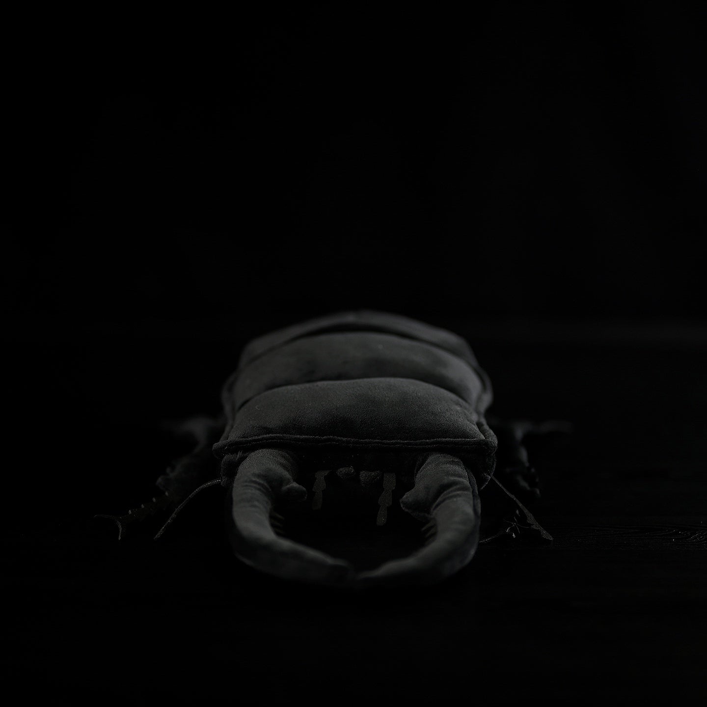 Dorcus Hopei Stag Beetle Plush – Realistic, Soft, and Perfect for Collectors