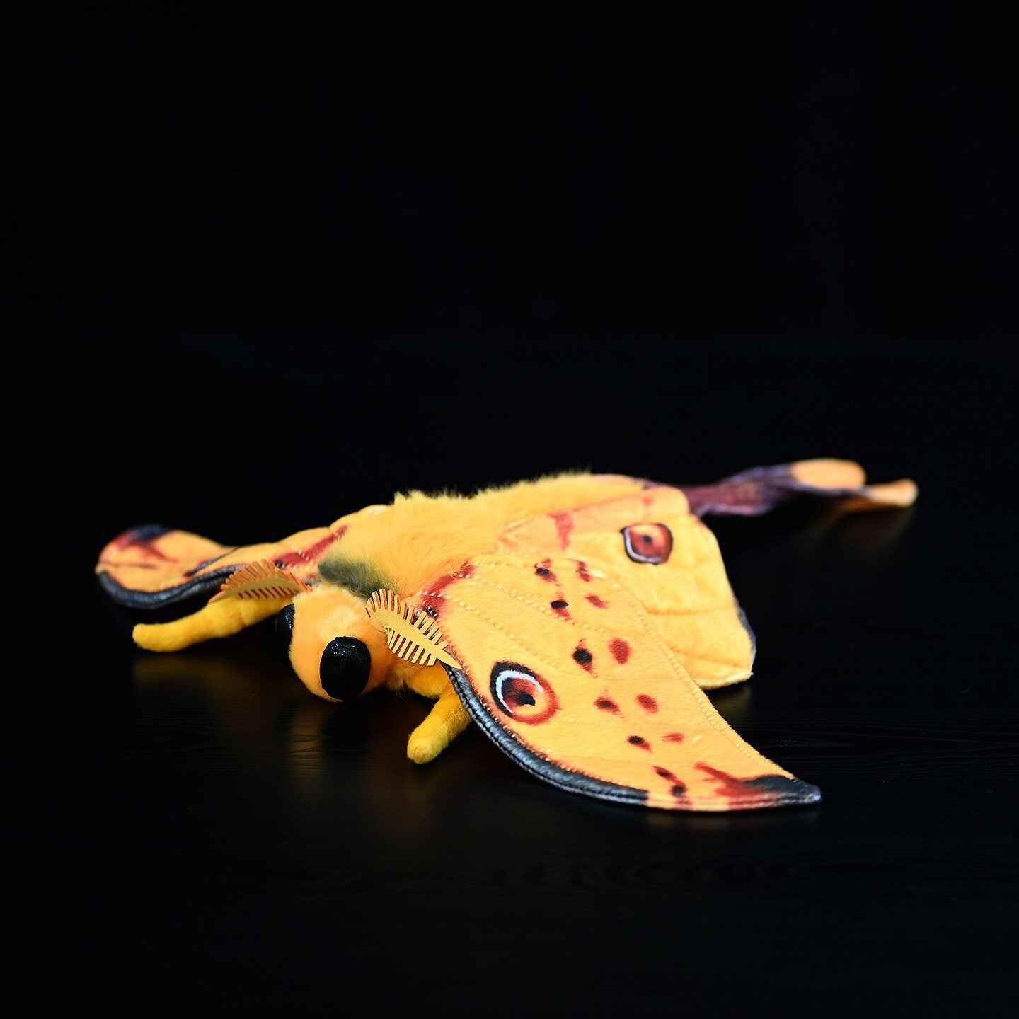 Lifelike Comet Moth stuffed plush showcasing realistic wing patterns by SoftDaysLab, ideal for insect lovers