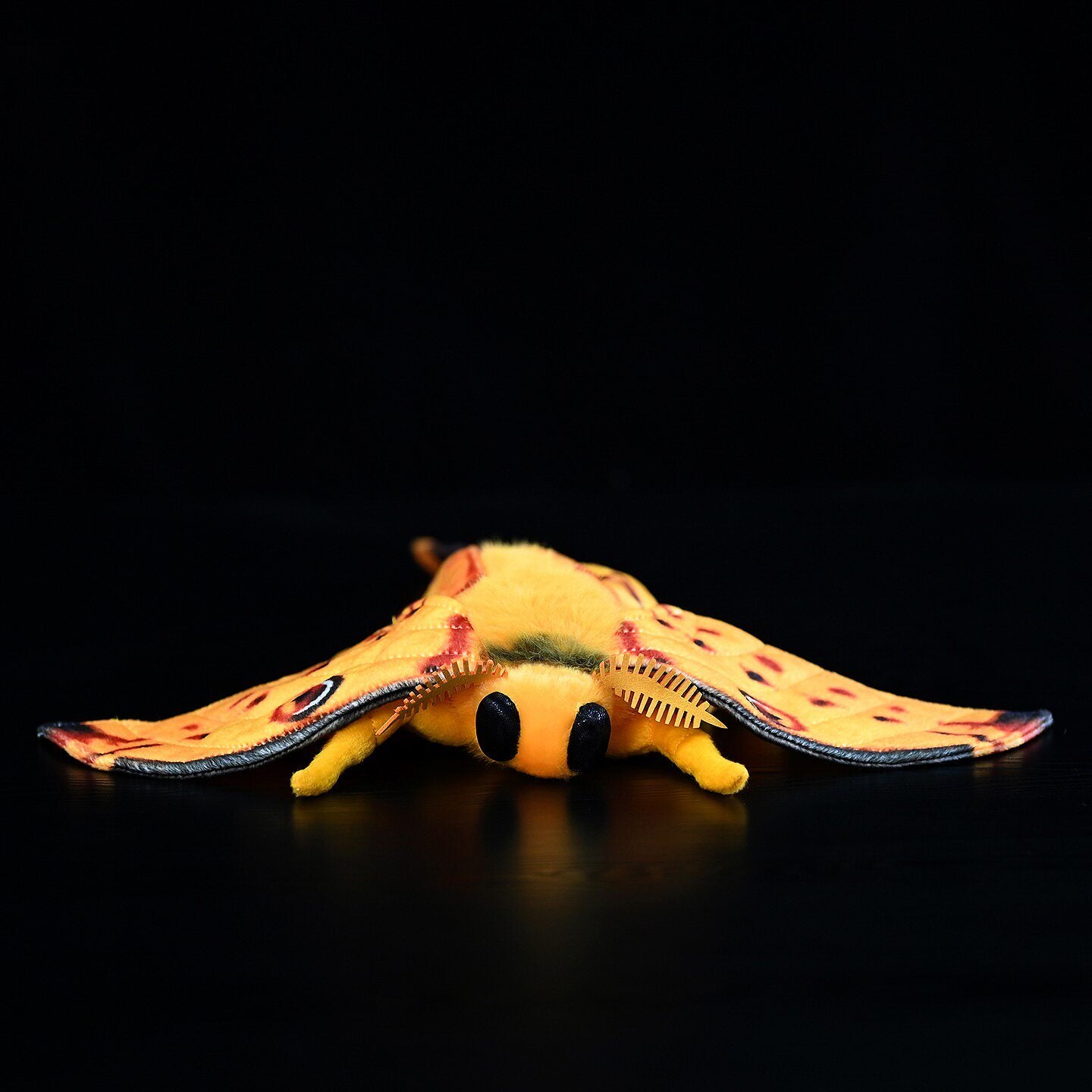 Front view of SoftDaysLab's lifelike Comet Moth plush showing soft material and vibrant design, great for insect enthusiasts