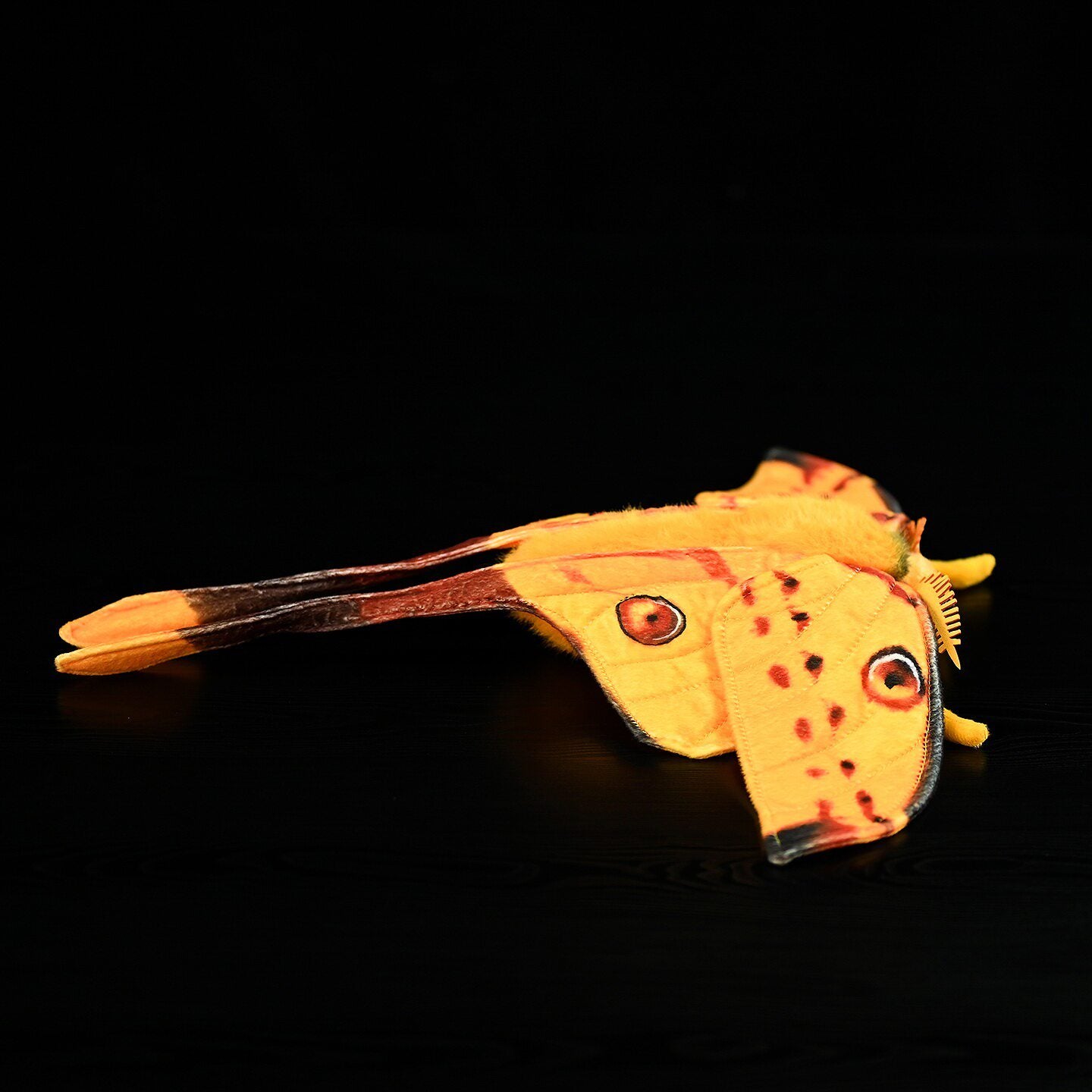 Side view of Comet Moth stuffed plush with details of wing spots and long tail by SoftDaysLab