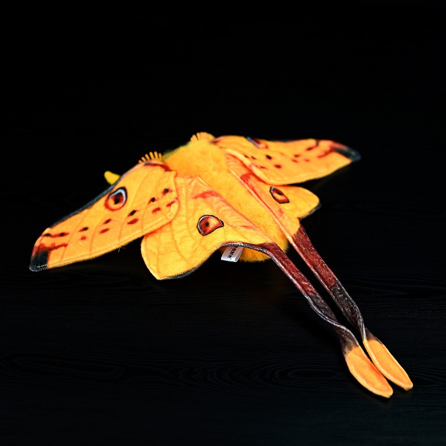 Back view of Comet Moth realistic stuffed plush with detailed design and soft fabric by SoftDaysLab