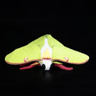 Front view of a lifelike Luna Moth Plush with vibrant green wings and realistic design by SoftDaysLab