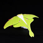 Back view of a Luna Moth Plush showcasing its elegant long tails and vibrant green wings