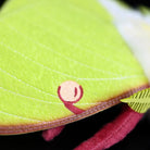 Close-up of Luna Moth Plush wing patterns with vibrant green and red eye spot details